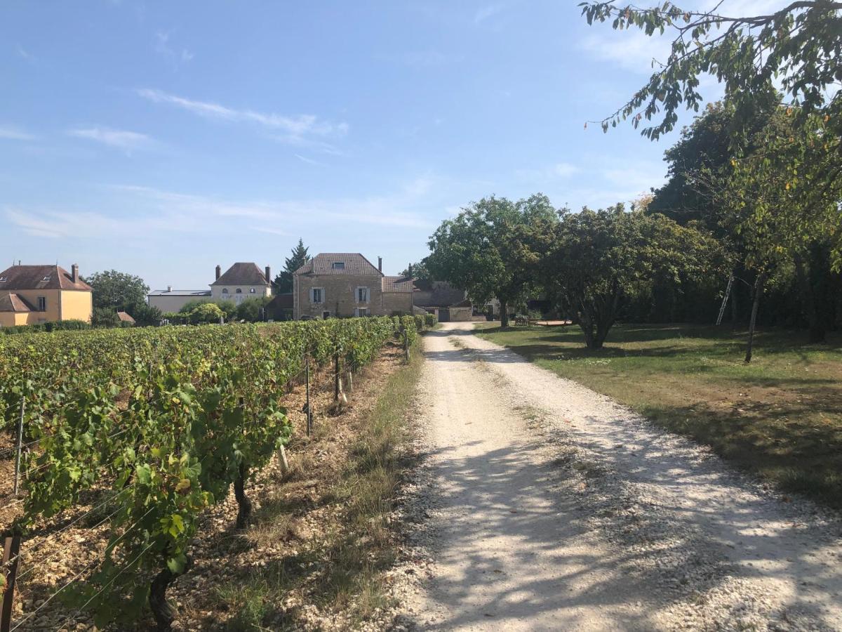Maison De Pauline, Chablis Vineyard Préhy エクステリア 写真