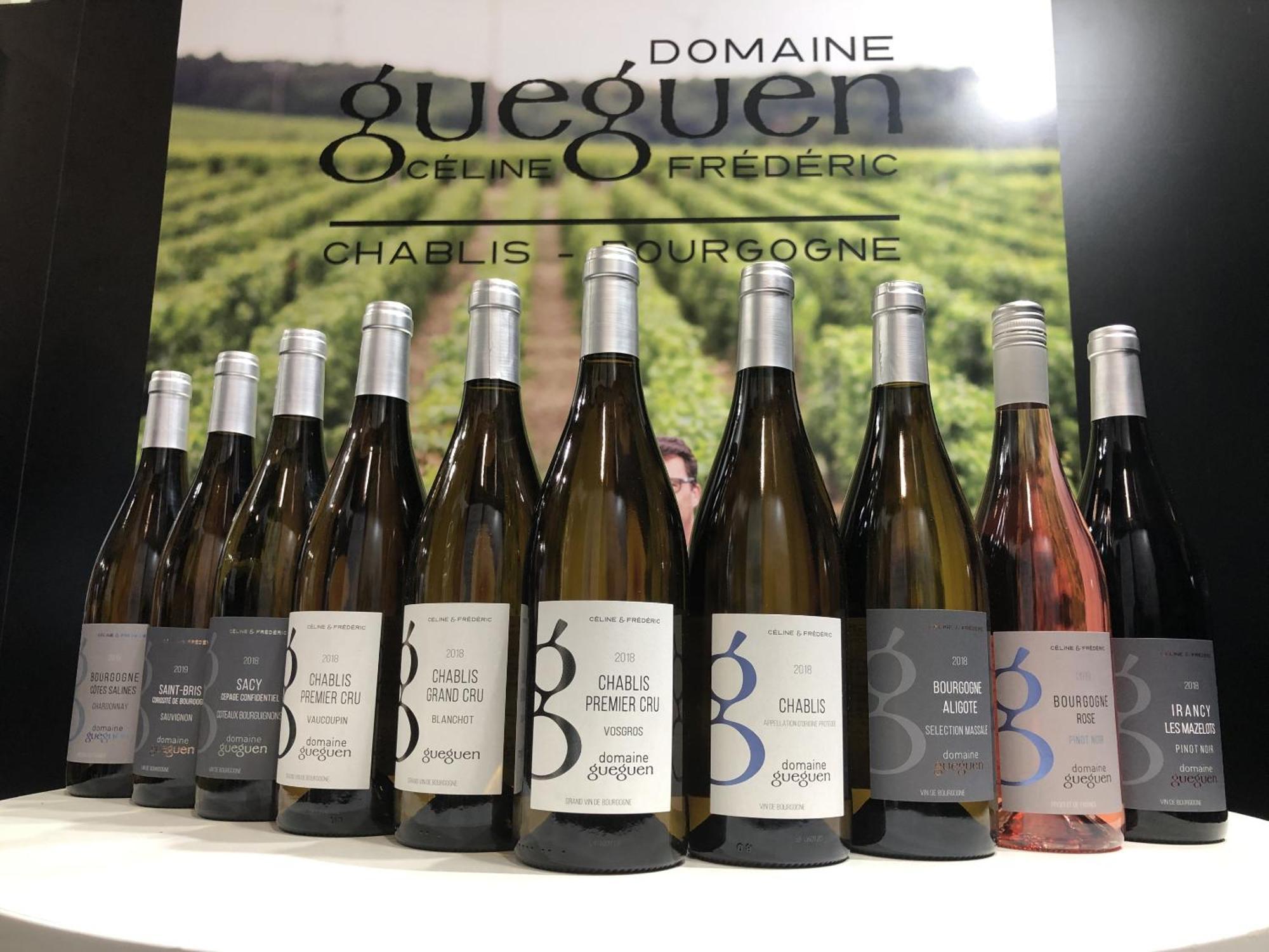 Maison De Pauline, Chablis Vineyard Préhy エクステリア 写真