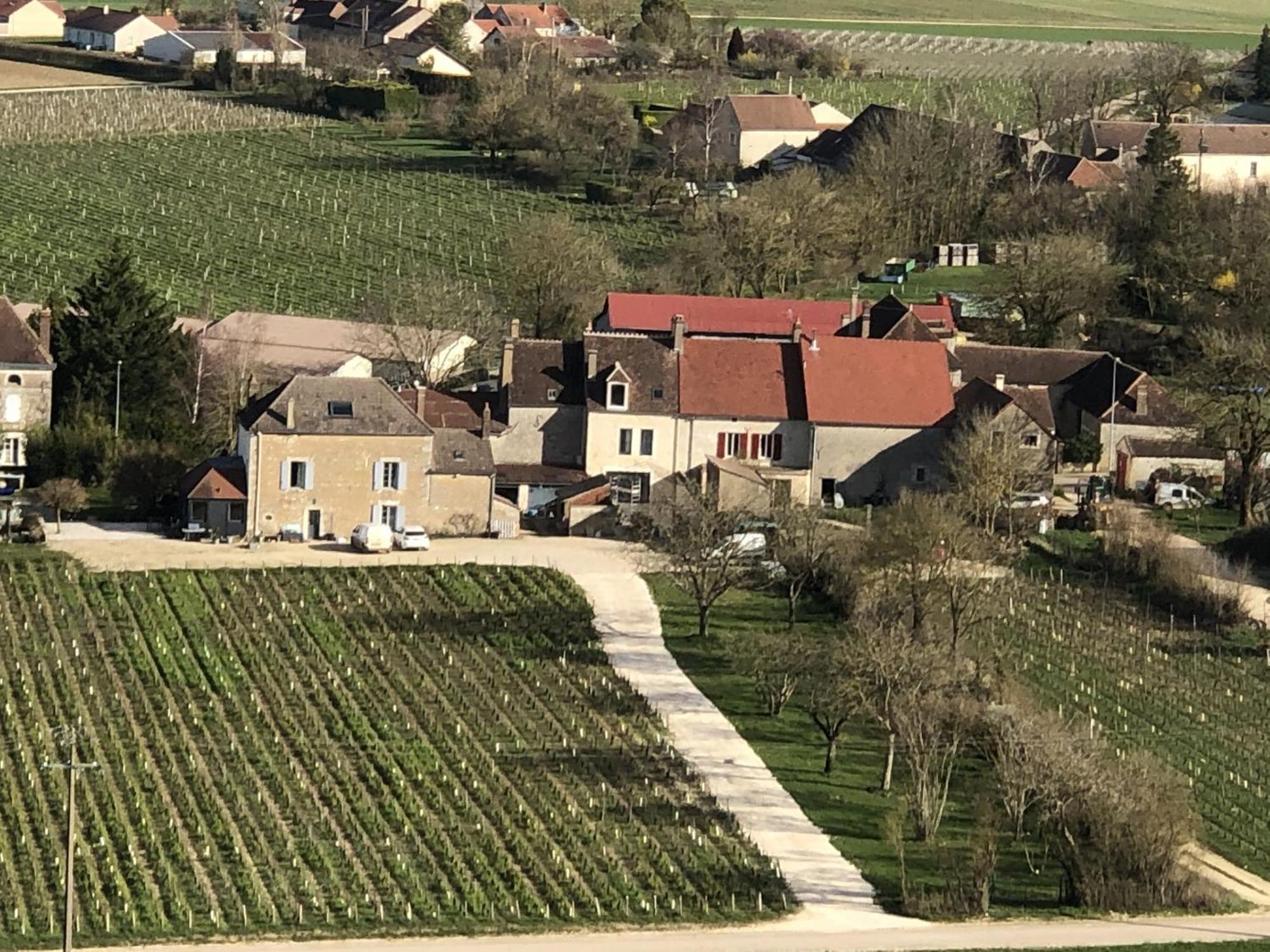 Maison De Pauline, Chablis Vineyard Préhy エクステリア 写真